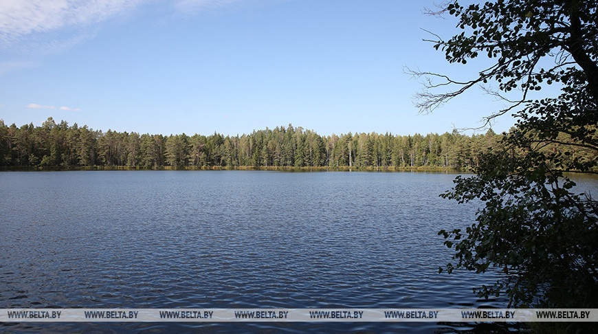 Belarus launches campaign to clean up water bodies