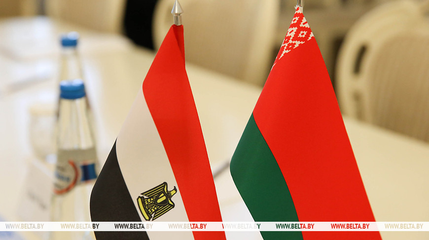 Lukashenko sends Revolution Day greetings to Egypt