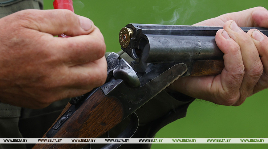 Доходы Минлесхоза от ведения охотничьего хозяйства составили более 9 млн бел. руб. в 2025 году