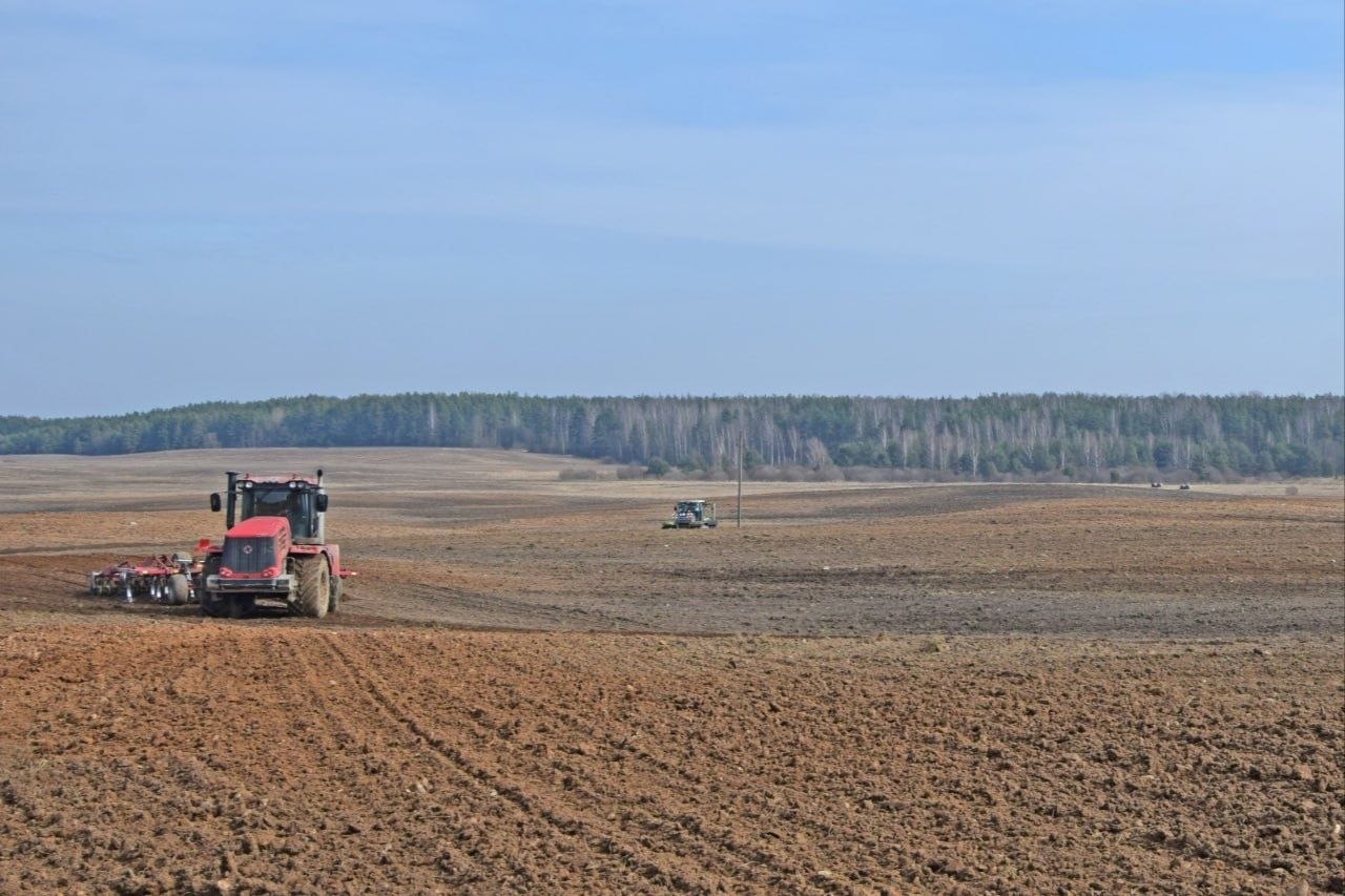 posevnaya-na-glubochchine-nabiraet-oboroty_0