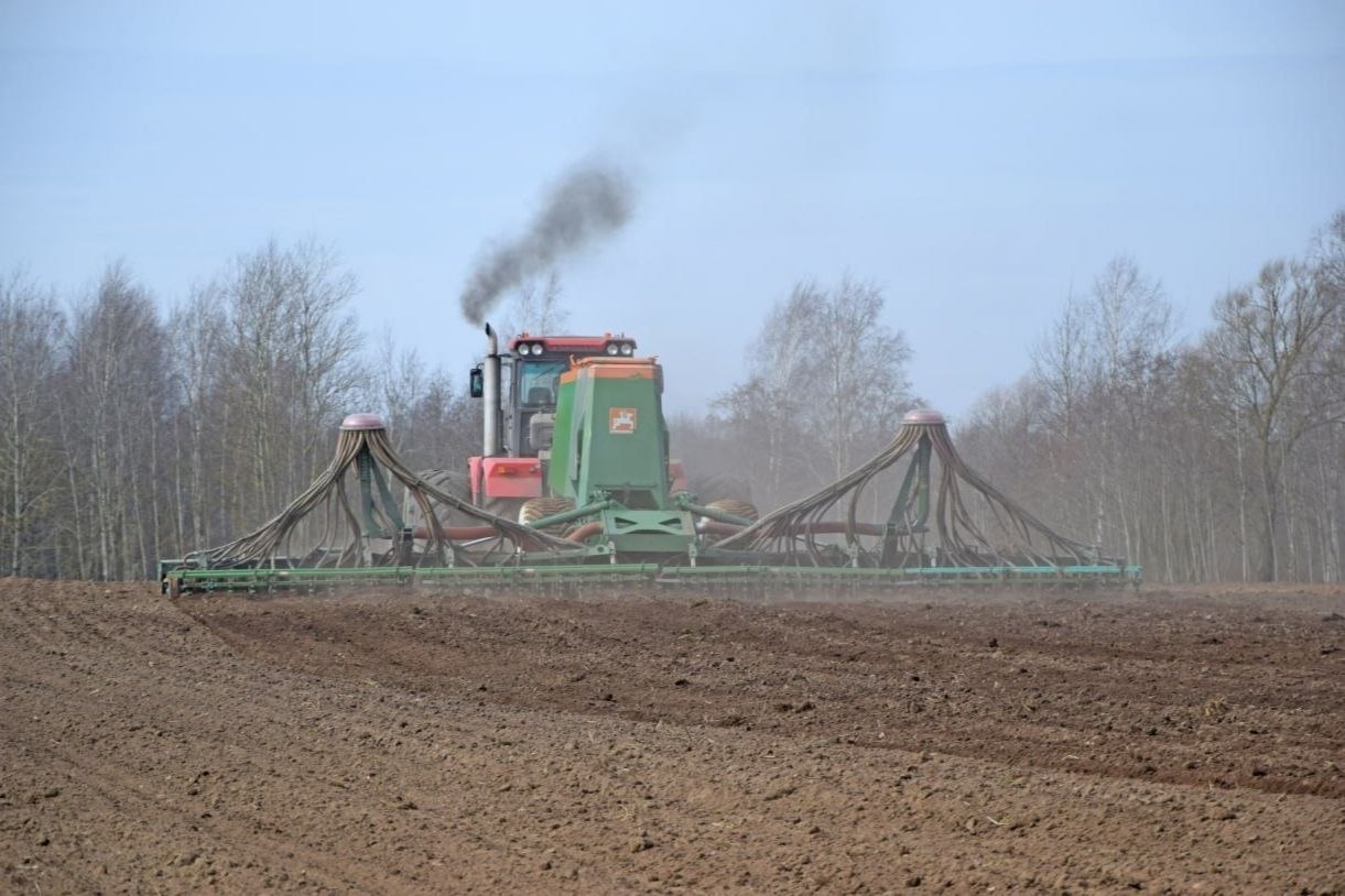 posevnaya-na-glubochchine-nabiraet-oboroty_2