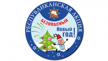 Акция «Безопасный Новый год!» пройдёт с 16 по 30 декабря