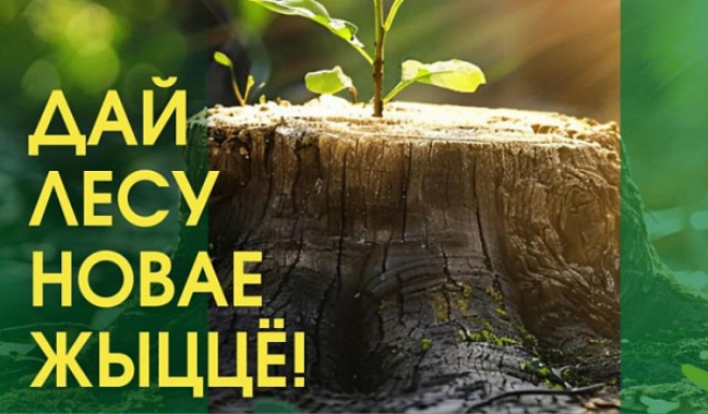 Акцыя " Дай лесу новае жыццё!"пройдзе ў Беларусі з 11 па 31 кастрычніка