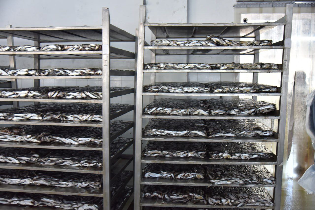 edinyy-den-informirovaniya-v-kollektive-ooo-fishmen-pauer_4