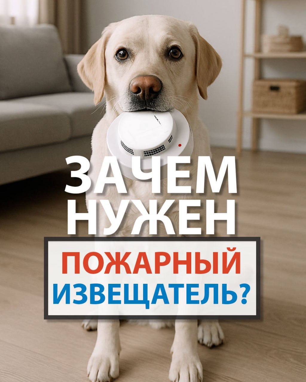 Зачем он нужен — звук, предупреждающий беду