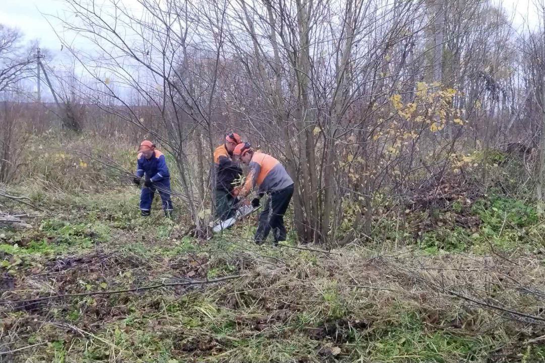 21 марта в Глубоком пройдёт районный субботник